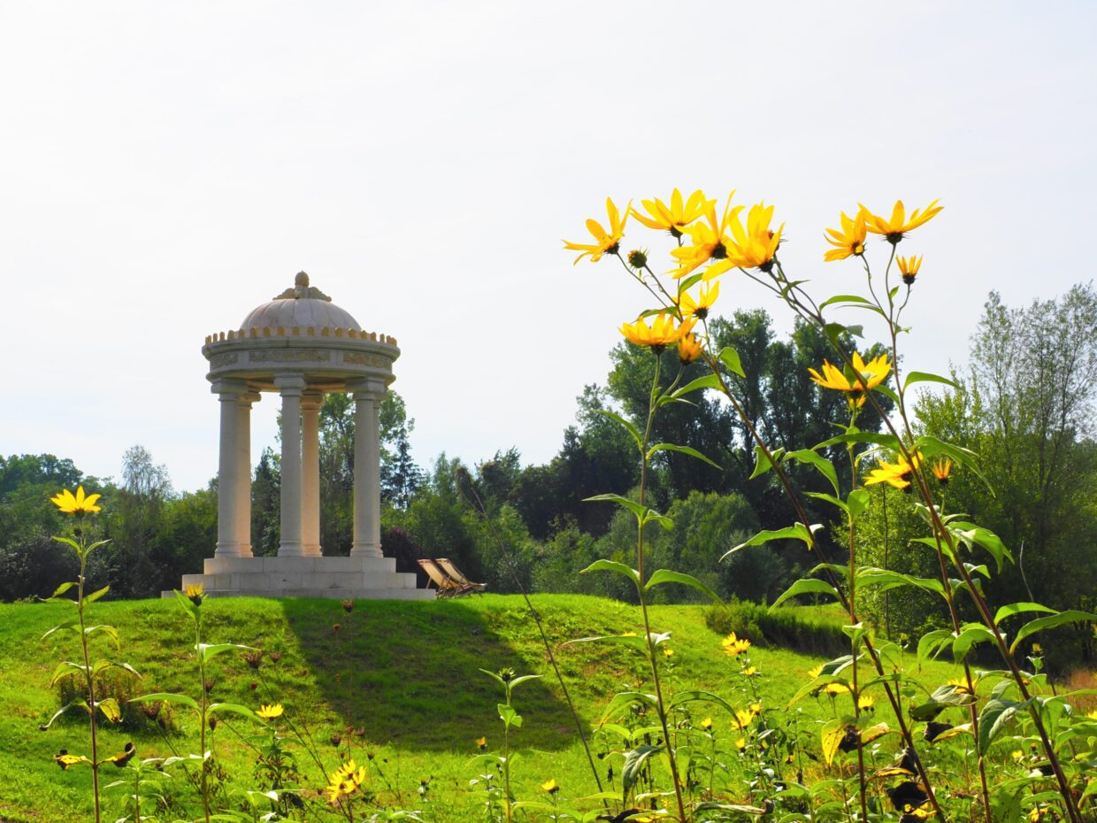 Gelbe Blume im Schlosspark Dennenlohe