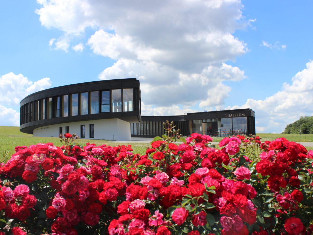 Museum mit roten Rosen im Vordergrund bei sonnigem Wetter.