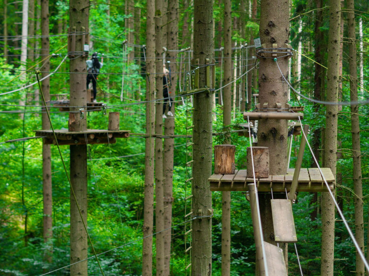 Abenteuerpark mit Seilrutschen im Wald