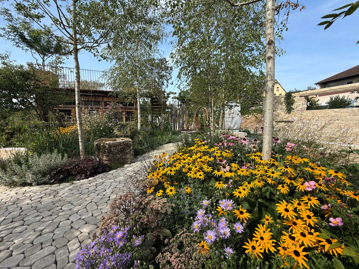 meiser hotels ist top partner der landesgartenschau ellwangen 2026 gmbh blumenwiese quer