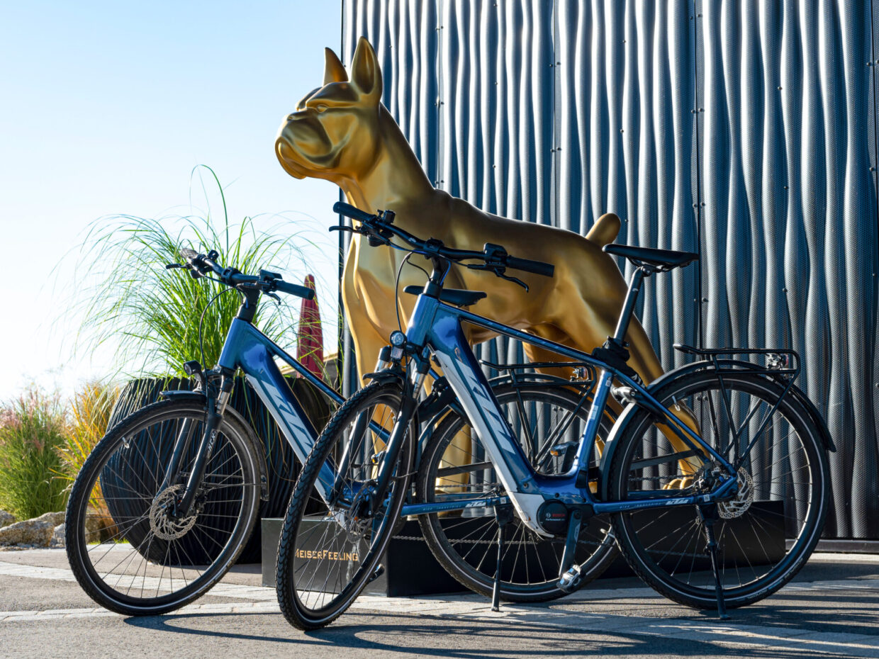Zwei E-Bikes vor goldener Hundestatue