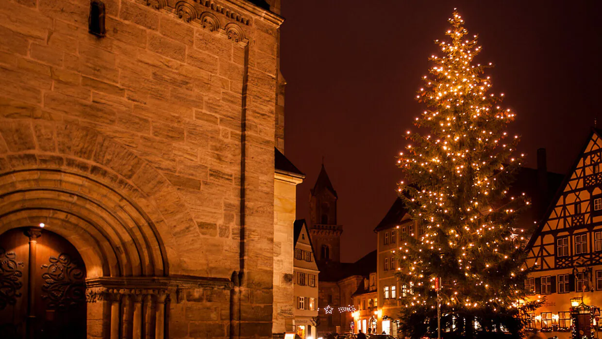Beleuchteter Weihnachtsbaum vor historischem Gebäude bei Nacht.