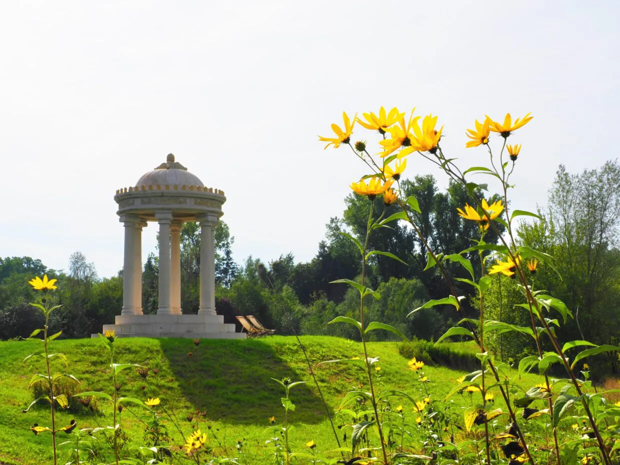 Gelbe Blume im Schlosspark Dennenlohe