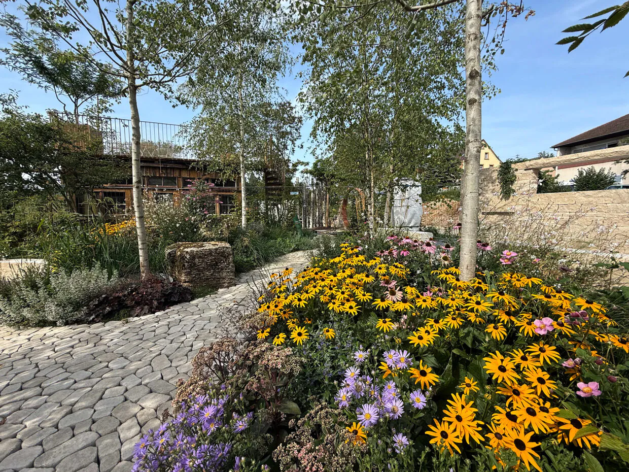 meiser hotels ist top partner der landesgartenschau ellwangen 2026 gmbh blumenwiese quer
